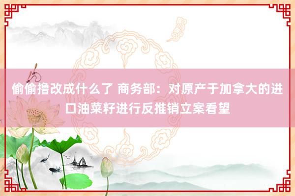 偷偷撸改成什么了 商务部：对原产于加拿大的进口油菜籽进行反推销立案看望