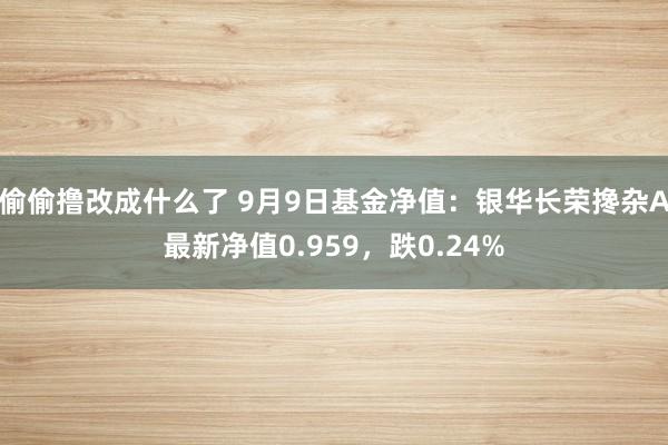 偷偷撸改成什么了 9月9日基金净值：银华长荣搀杂A最新净值0.959，跌0.24%