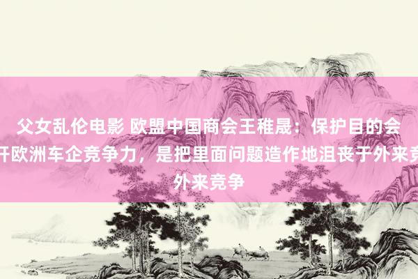 父女乱伦电影 欧盟中国商会王稚晟：保护目的会松开欧洲车企竞争力，是把里面问题造作地沮丧于外来竞争