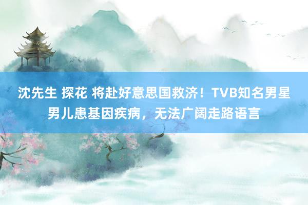沈先生 探花 将赴好意思国救济！TVB知名男星男儿患基因疾病，无法广阔走路语言