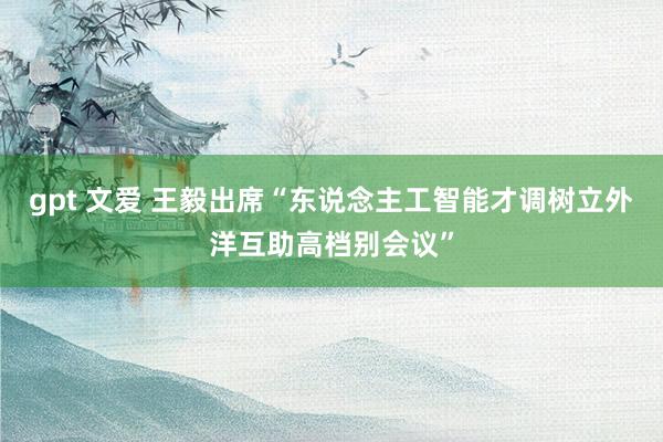 gpt 文爱 王毅出席“东说念主工智能才调树立外洋互助高档别会议”