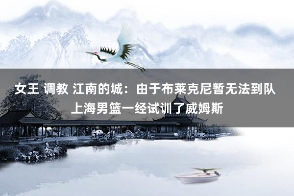女王 调教 江南的城：由于布莱克尼暂无法到队 上海男篮一经试训了威姆斯