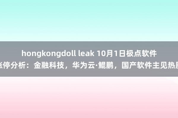 hongkongdoll leak 10月1日极点软件涨停分析：金融科技，华为云·鲲鹏，国产软件主见热股
