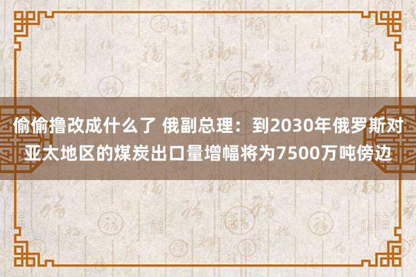 偷偷撸改成什么了 俄副总理：到2030年俄罗斯对亚太地区的煤炭出口量增幅将为7500万吨傍边