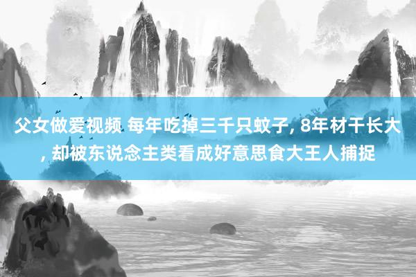 父女做爱视频 每年吃掉三千只蚊子， 8年材干长大， 却被东说念主类看成好意思食大王人捕捉