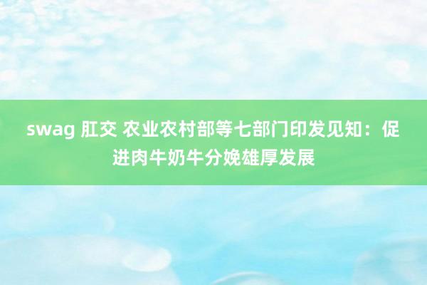swag 肛交 农业农村部等七部门印发见知：促进肉牛奶牛分娩雄厚发展
