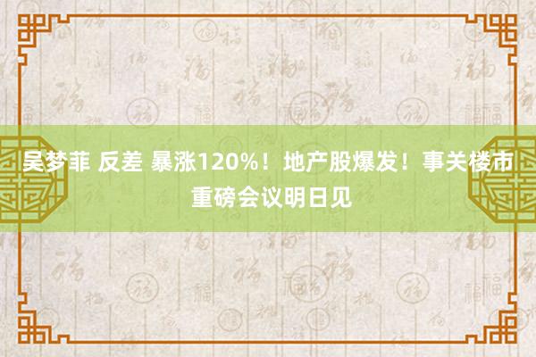 吴梦菲 反差 暴涨120%！地产股爆发！事关楼市 重磅会议明日见