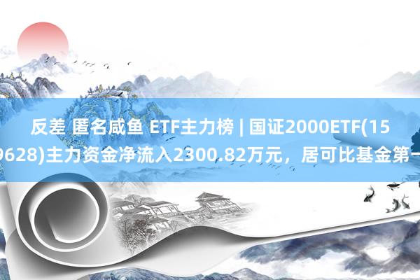 反差 匿名咸鱼 ETF主力榜 | 国证2000ETF(159628)主力资金净流入2300.82万元，居可比基金第一