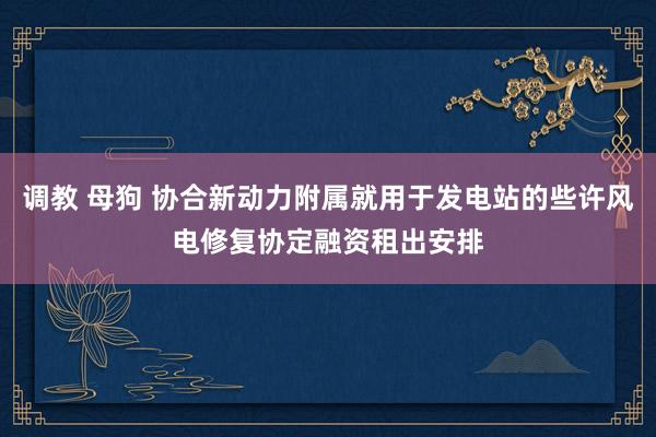 调教 母狗 协合新动力附属就用于发电站的些许风电修复协定融资租出安排