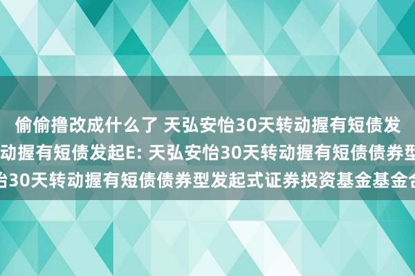 偷偷撸改成什么了 天弘安怡30天转动握有短债发起A,天弘安怡30天转动握有短债发起E: 天弘安怡30天转动握有短债债券型发起式证券投资基金基金合同