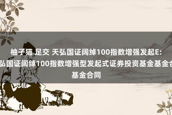 柚子猫 足交 天弘国证阔绰100指数增强发起E: 天弘国证阔绰100指数增强型发起式证券投资基金基金合同
