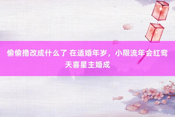 偷偷撸改成什么了 在适婚年岁，小限流年会红鸾天喜星主婚成