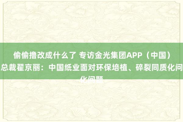 偷偷撸改成什么了 专访金光集团APP（中国）副总裁翟京丽：中国纸业面对环保培植、碎裂同质化问题