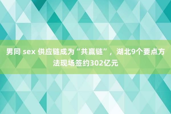男同 sex 供应链成为“共赢链”，湖北9个要点方法现场签约302亿元