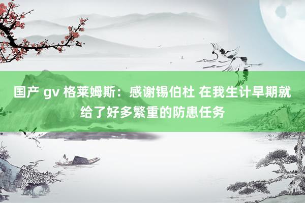 国产 gv 格莱姆斯：感谢锡伯杜 在我生计早期就给了好多繁重的防患任务