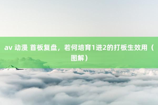 av 动漫 首板复盘，若何培育1进2的打板生效用（图解）