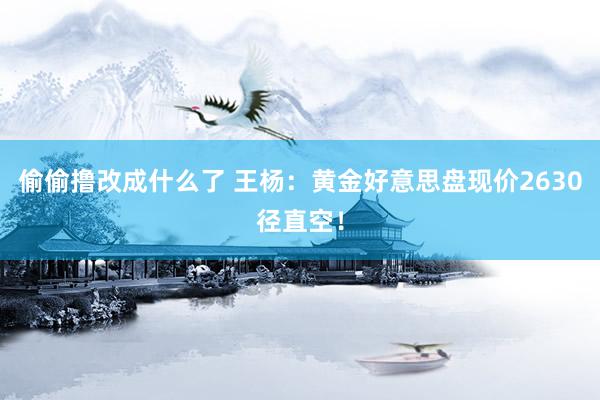 偷偷撸改成什么了 王杨：黄金好意思盘现价2630径直空！