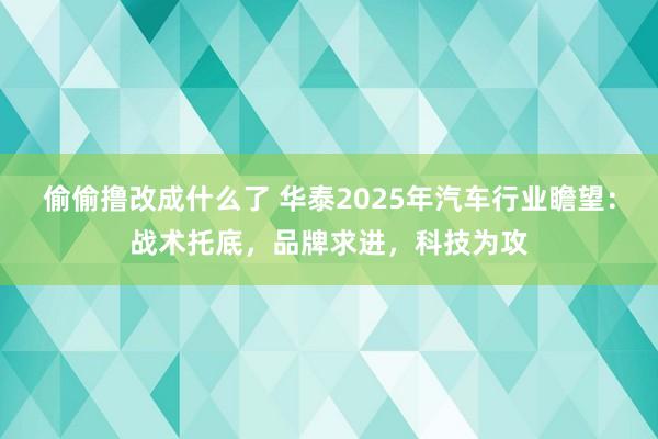 偷偷撸改成什么了 华泰2025年汽车行业瞻望：战术托底，品牌求进，科技为攻