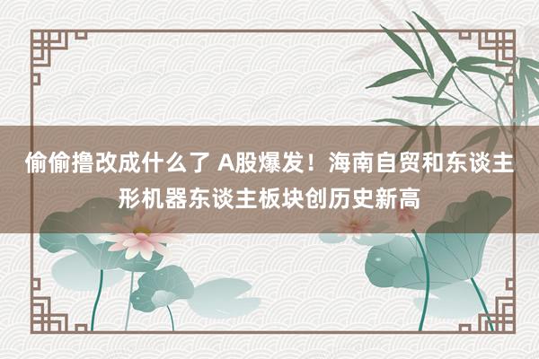 偷偷撸改成什么了 A股爆发！海南自贸和东谈主形机器东谈主板块创历史新高