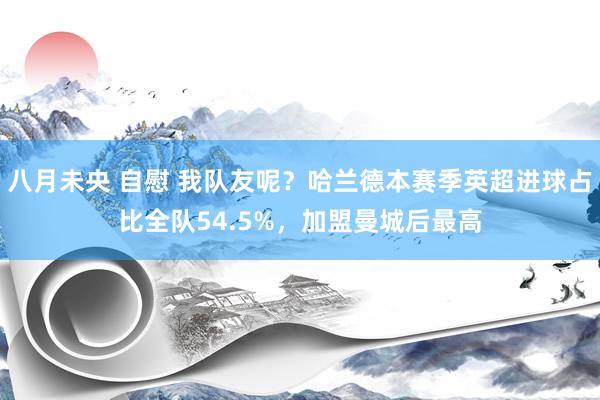 八月未央 自慰 我队友呢？哈兰德本赛季英超进球占比全队54.5%，加盟曼城后最高