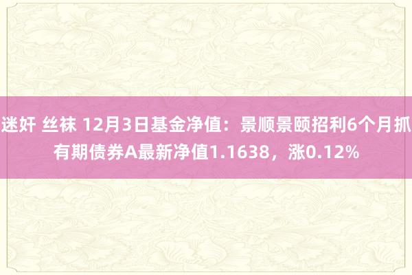 迷奸 丝袜 12月3日基金净值：景顺景颐招利6个月抓有期债券A最新净值1.1638，涨0.12%