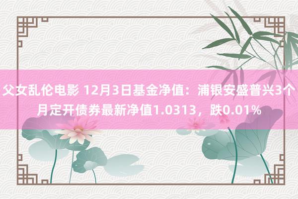 父女乱伦电影 12月3日基金净值：浦银安盛普兴3个月定开债券最新净值1.0313，跌0.01%