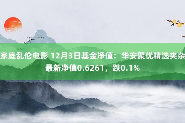 家庭乱伦电影 12月3日基金净值：华安聚优精选夹杂最新净值0.6261，跌0.1%