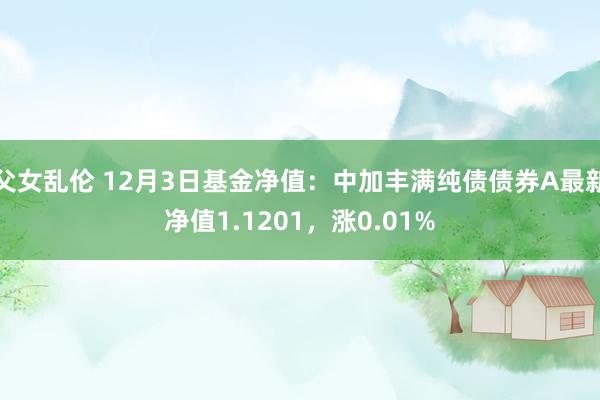 父女乱伦 12月3日基金净值：中加丰满纯债债券A最新净值1.1201，涨0.01%