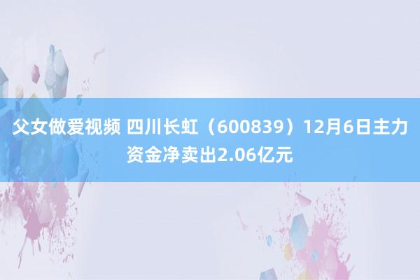 父女做爱视频 四川长虹（600839）12月6日主力资金净卖出2.06亿元