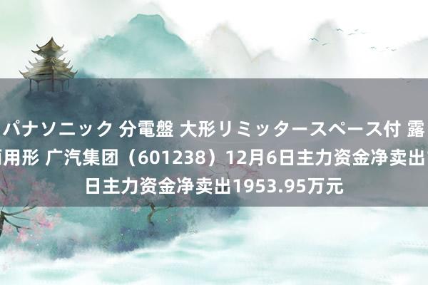 パナソニック 分電盤 大形リミッタースペース付 露出・半埋込両用形 广汽集团（601238）12月6日主力资金净卖出1953.95万元
