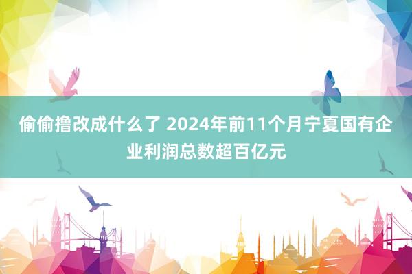 偷偷撸改成什么了 2024年前11个月宁夏国有企业利润总数超百亿元