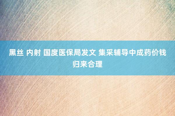黑丝 内射 国度医保局发文 集采辅导中成药价钱归来合理