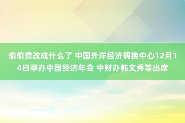 偷偷撸改成什么了 中国外洋经济调换中心12月14日举办中国经济年会 中财办韩文秀等出席