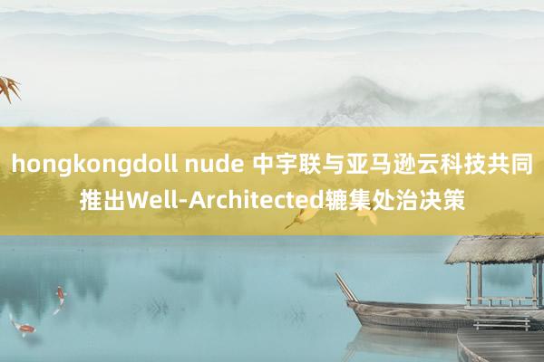 hongkongdoll nude 中宇联与亚马逊云科技共同推出Well-Architected辘集处治决策