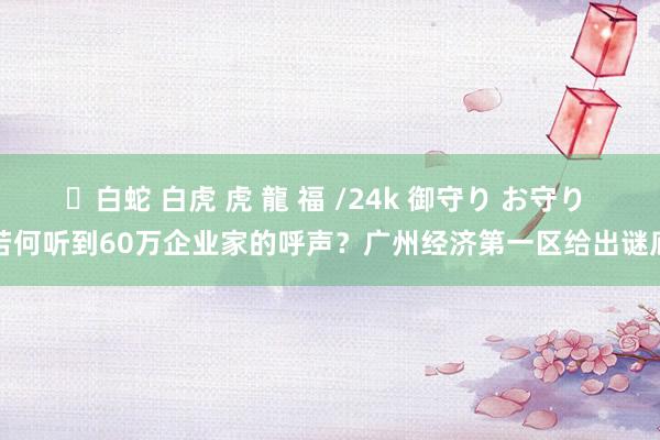 ✨白蛇 白虎 虎 龍 福 /24k 御守り お守り 若何听到60万企业家的呼声？广州经济第一区给出谜底