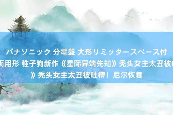 パナソニック 分電盤 大形リミッタースペース付 露出・半埋込両用形 稚子狗新作《星际异端先知》秃头女主太丑被吐槽！尼尔恢复