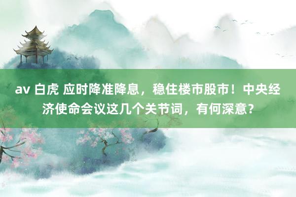 av 白虎 应时降准降息，稳住楼市股市！中央经济使命会议这几个关节词，有何深意？