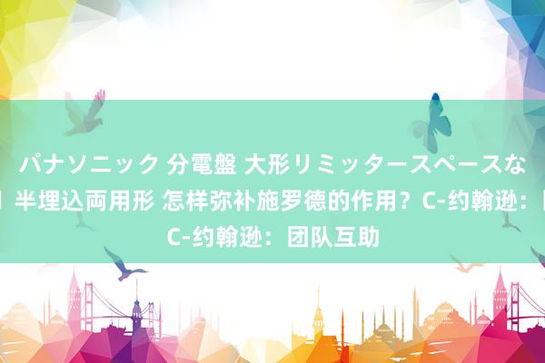 パナソニック 分電盤 大形リミッタースペースなし 露出・半埋込両用形 怎样弥补施罗德的作用?C-约翰逊:团队互助