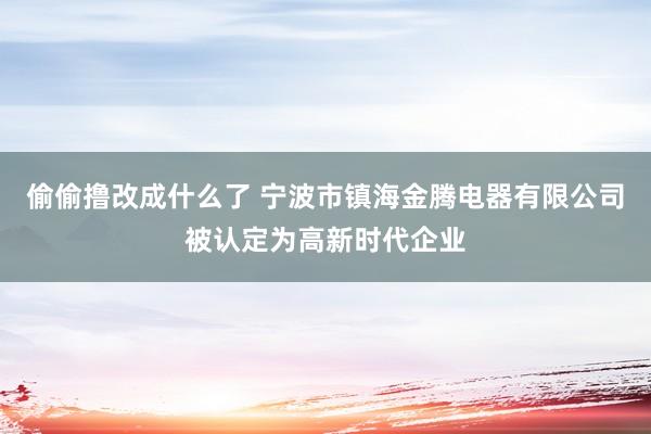 偷偷撸改成什么了 宁波市镇海金腾电器有限公司被认定为高新时代企业