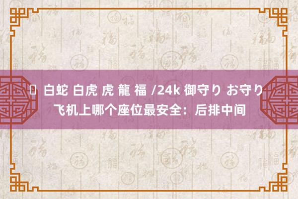 ✨白蛇 白虎 虎 龍 福 /24k 御守り お守り 飞机上哪个座位最安全：后排中间