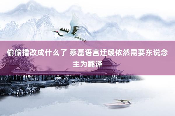 偷偷撸改成什么了 蔡磊语言迂缓依然需要东说念主为翻译