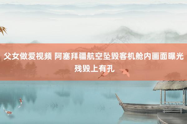 父女做爱视频 阿塞拜疆航空坠毁客机舱内画面曝光 残毁上有孔