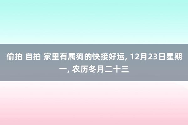 偷拍 自拍 家里有属狗的快接好运， 12月23日星期一， 农历冬月二十三