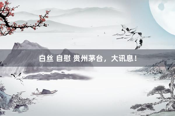 白丝 自慰 贵州茅台，大讯息！