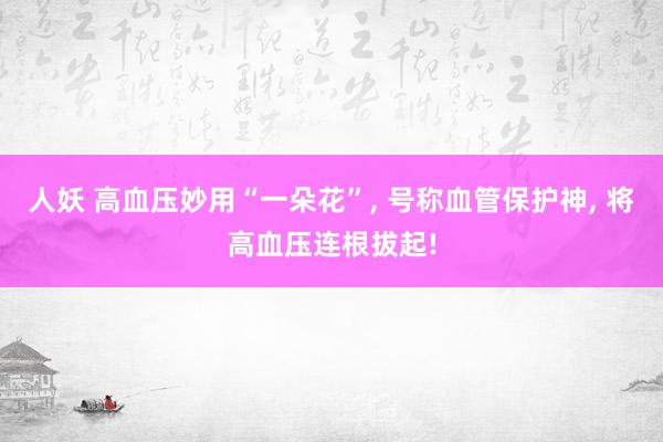 人妖 高血压妙用“一朵花”， 号称血管保护神， 将高血压连根拔起!