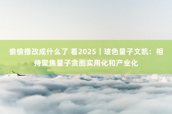 偷偷撸改成什么了 看2025｜玻色量子文凯：相持聚焦量子贪图实用化和产业化