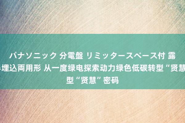 パナソニック 分電盤 リミッタースペース付 露出・半埋込両用形 从一度绿电探索动力绿色低碳转型“贤慧”密码
