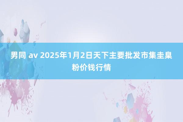 男同 av 2025年1月2日天下主要批发市集圭臬粉价钱行情