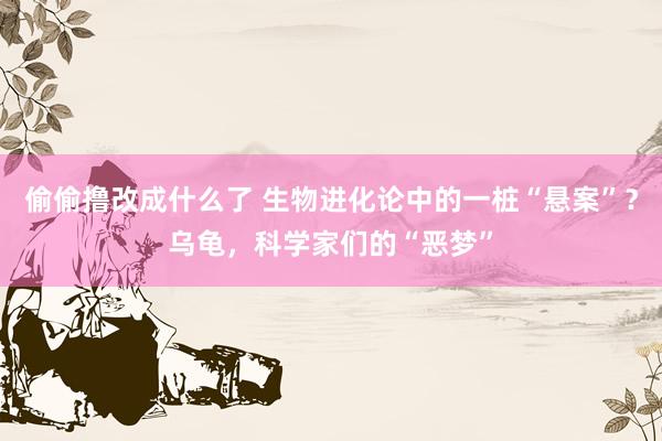 偷偷撸改成什么了 生物进化论中的一桩“悬案”？乌龟，科学家们的“恶梦”
