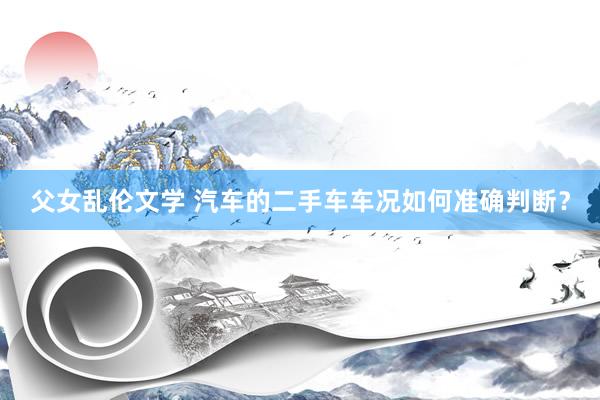 父女乱伦文学 汽车的二手车车况如何准确判断？